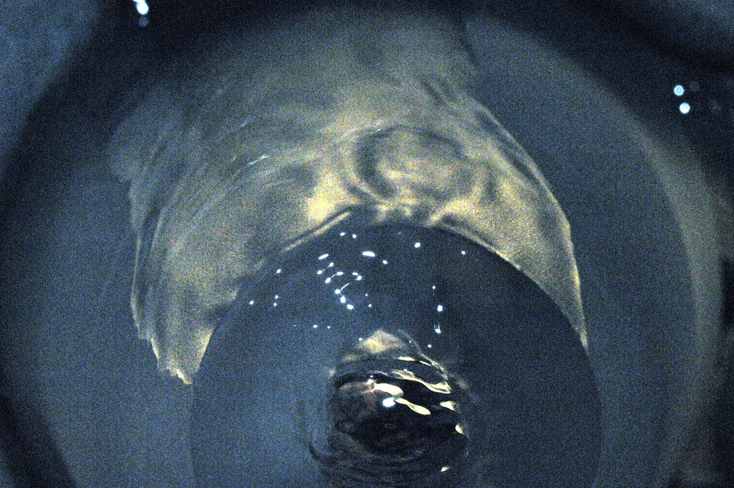 WATER FROM THE ROCK