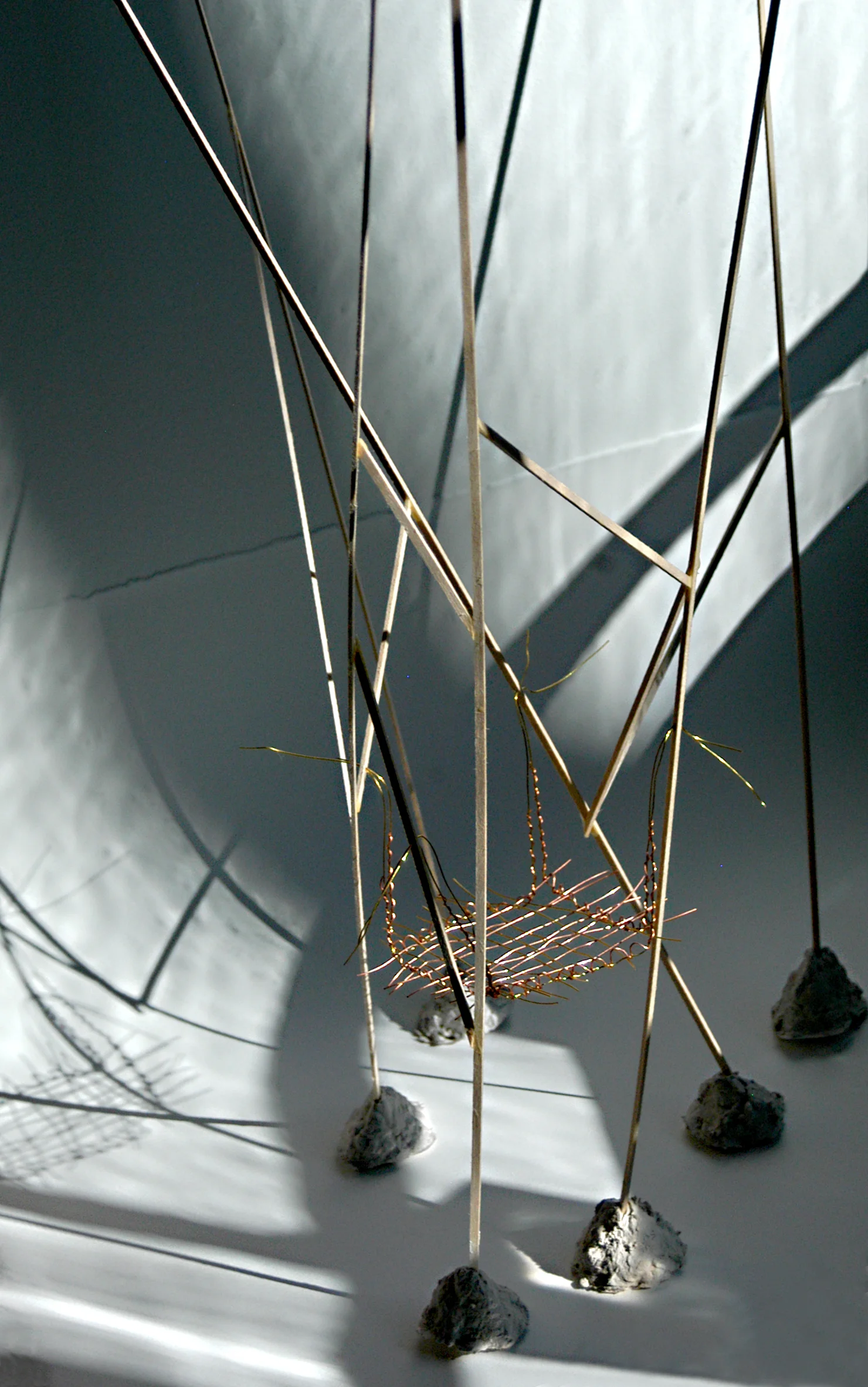 NEST