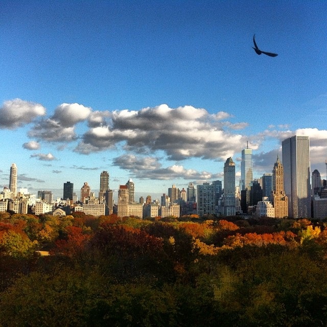 NYC