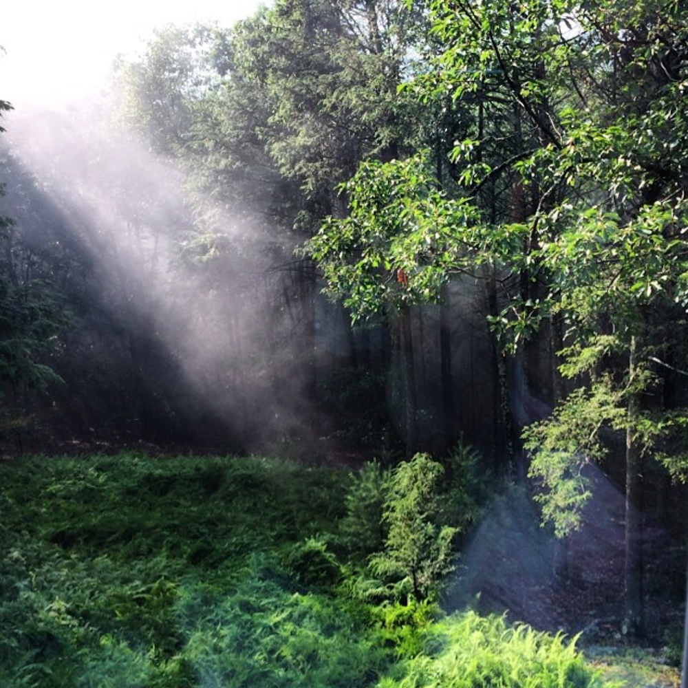 MIST