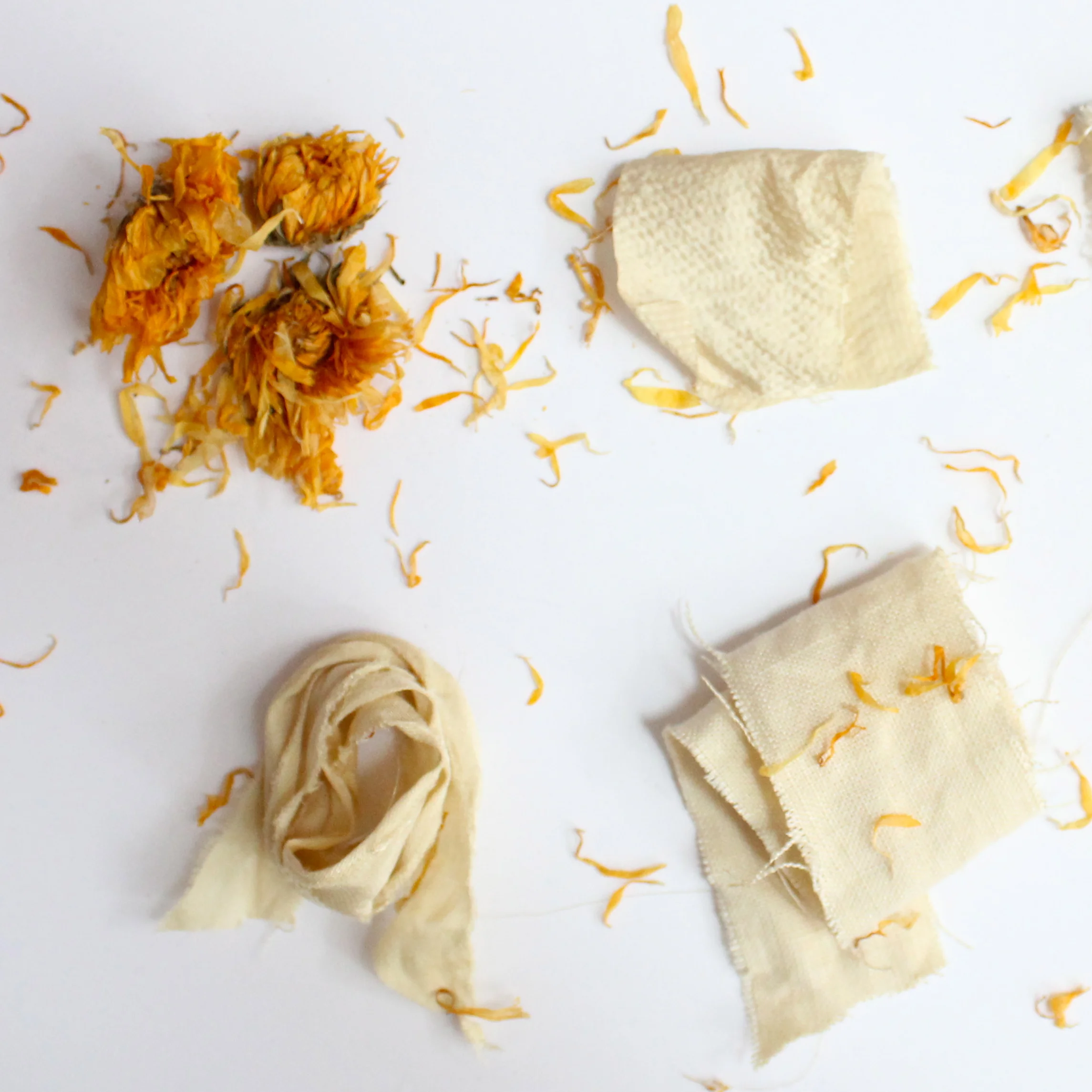 Calendula The flowers can be used to make a yellow dye. It has been used medicinally for hundreds of years for its many properties which soothe the skin and accelerate healing.