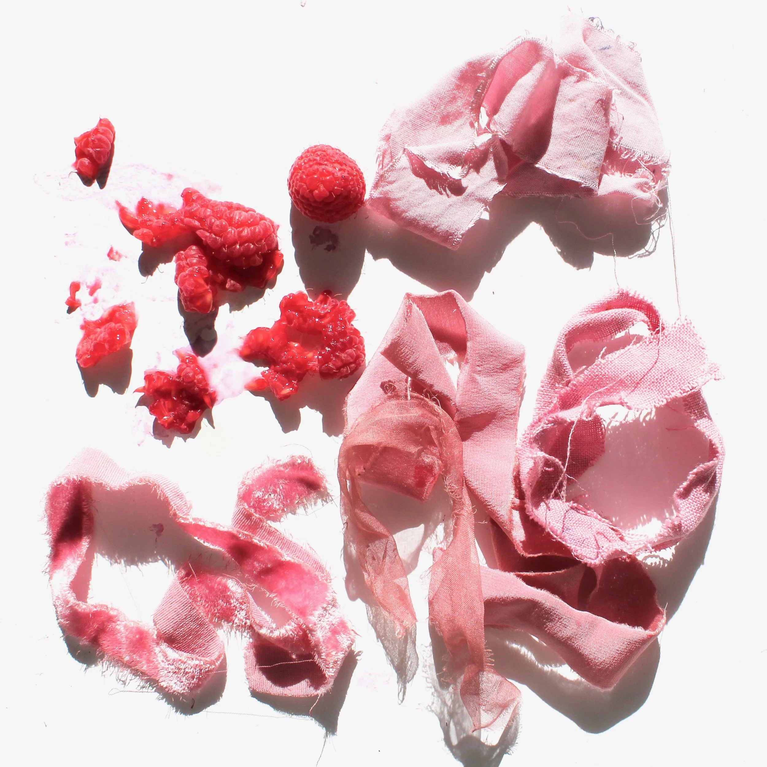 Raspberry The berry of the raspberry plant yields a blush pink color. Raspberries have been shown to have anti-inflammatory properties which can soothe the skin.