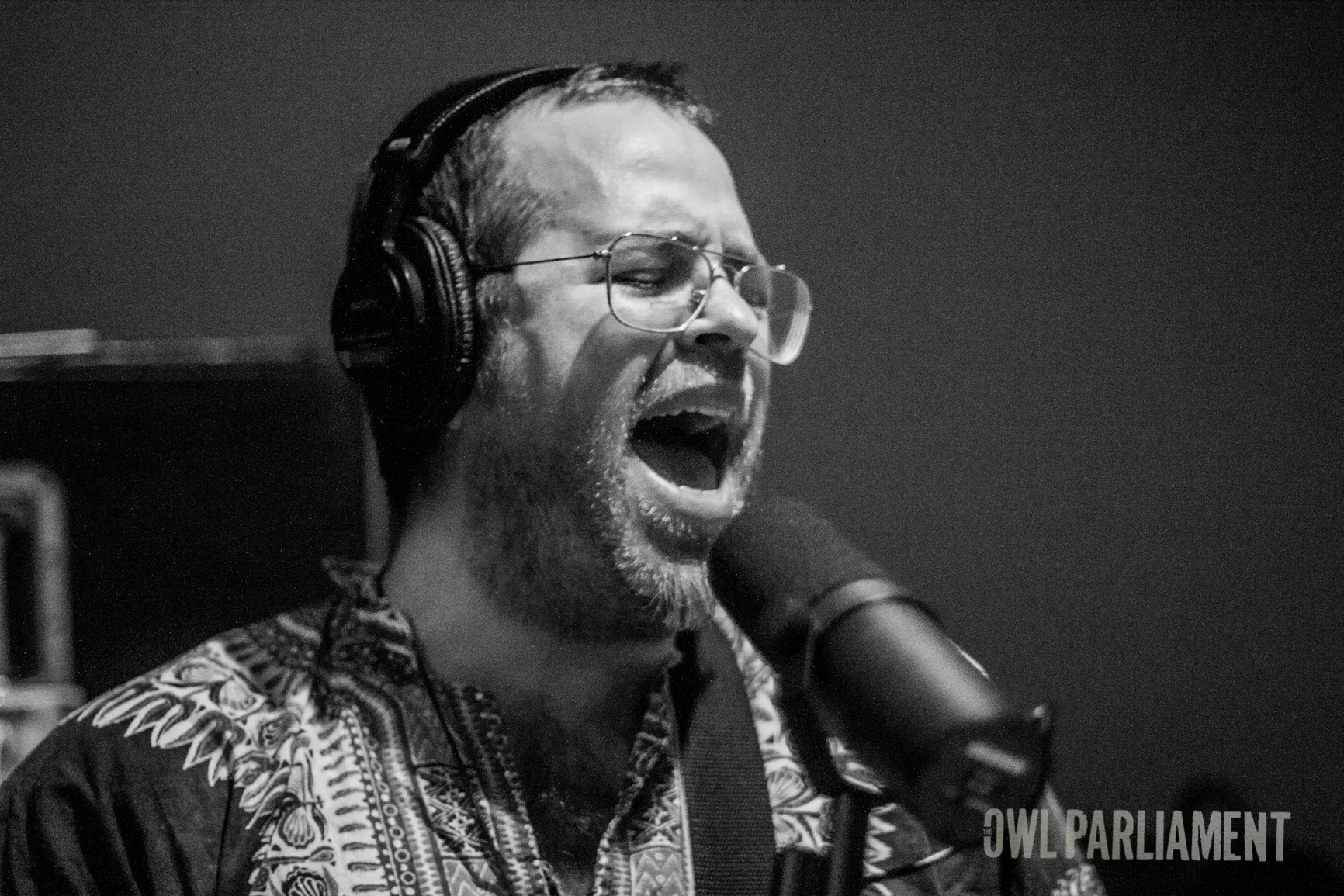 The_Owl_Parliament-Recording-18.jpg