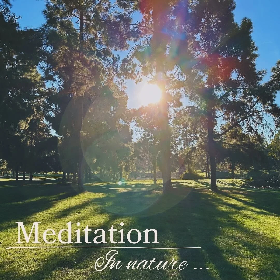 MEDITATE IN NATURE .JPG