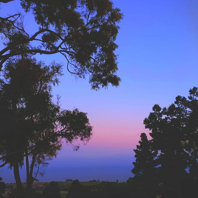 Pully, hauly, 
tug with a will; 
the Gods wiggle waggle, 
but the Sky stands
#aldoushuxley #island #flow 💜💙💜
#malibu #pinksky