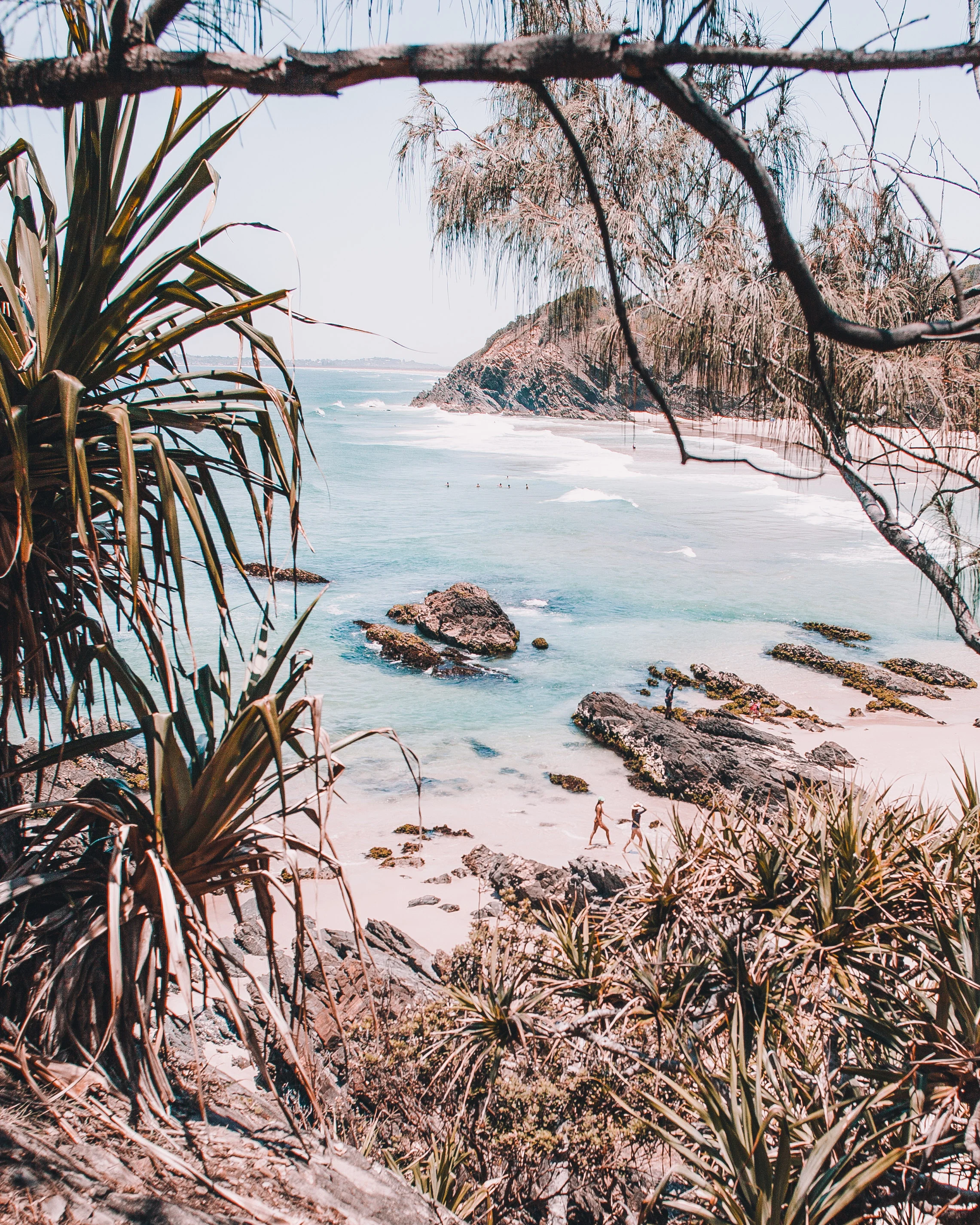 palm (1 of 1)-4.jpg
