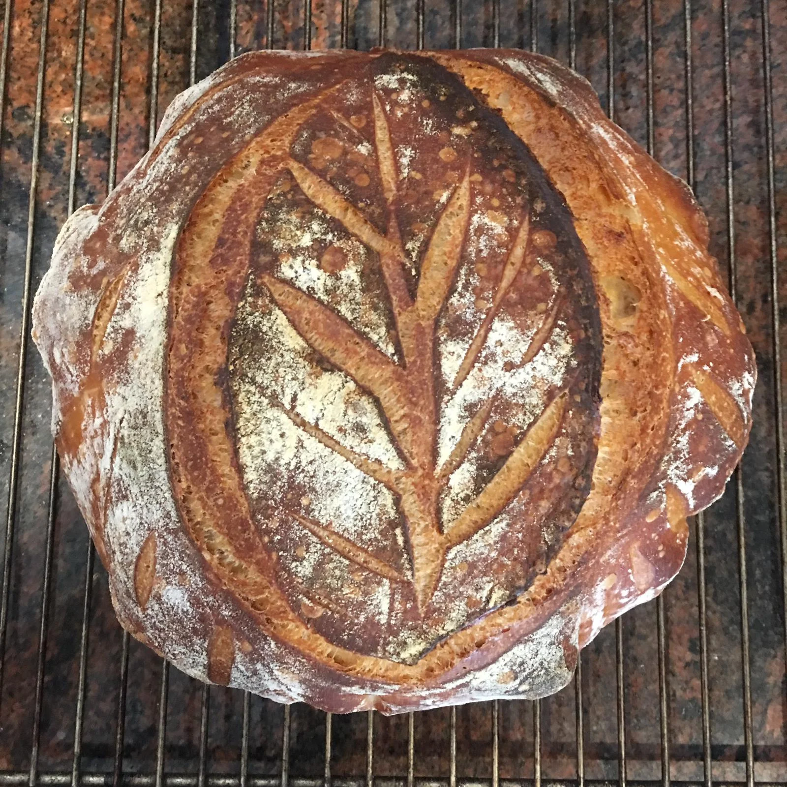 17 Nov: Sourdough Bread Making