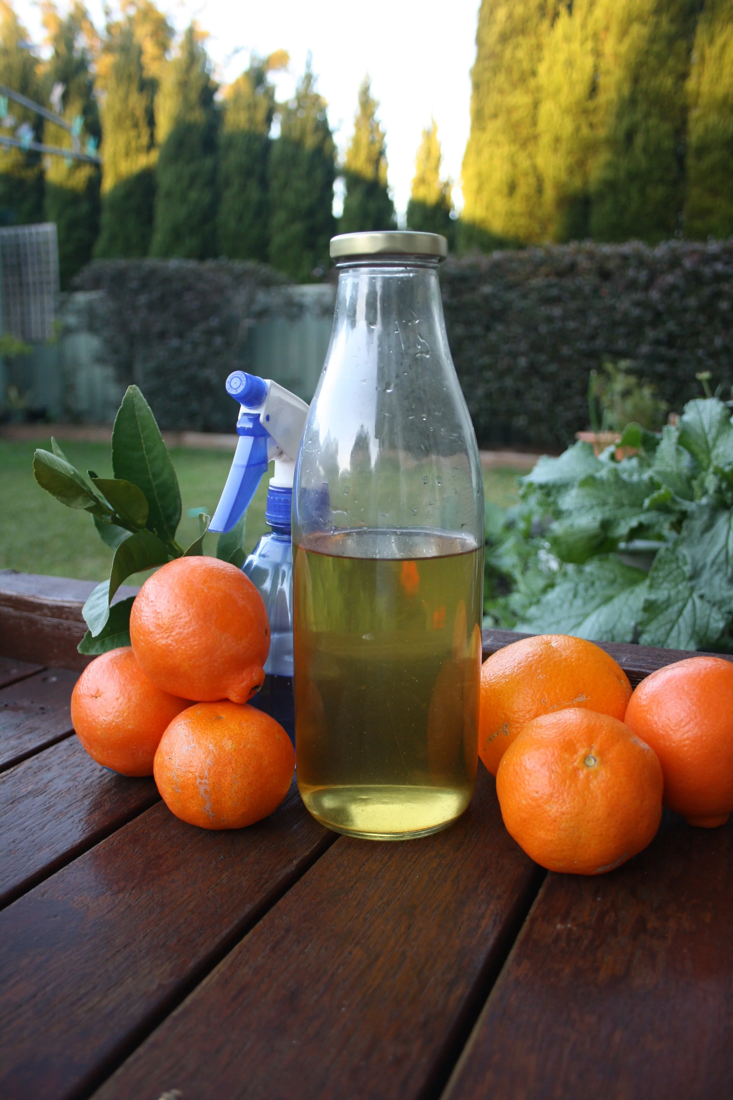 22 Sept: Sustainable Natural Cleaning Products