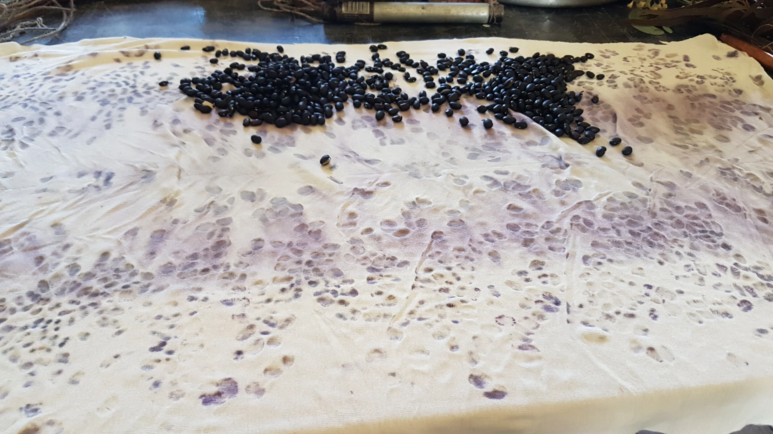 20191019_152831 - Copy.jpg