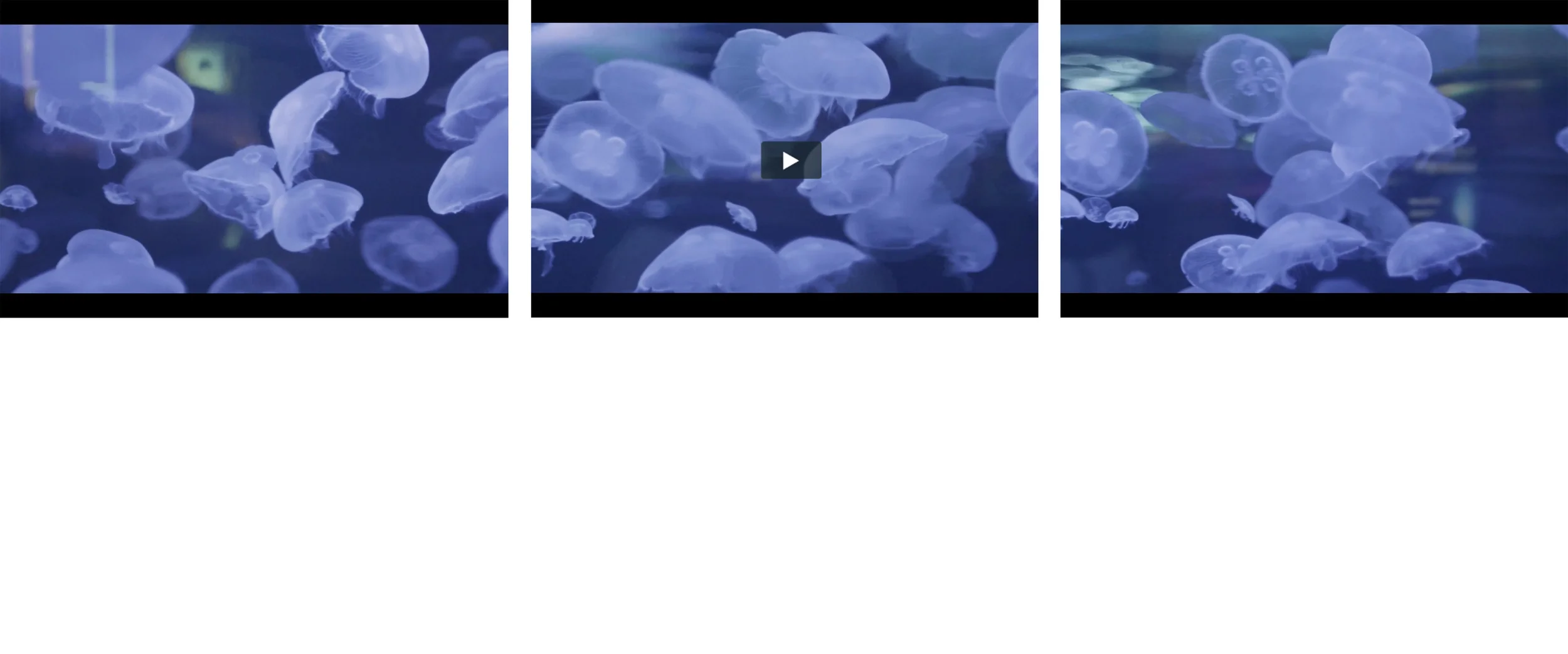 Screen Shot 2014-10-08 at 8.05.42 PM.png