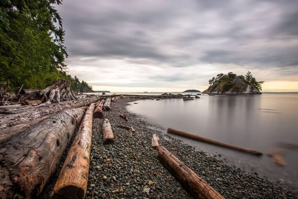 Create your holistic business - NEW COURSE 