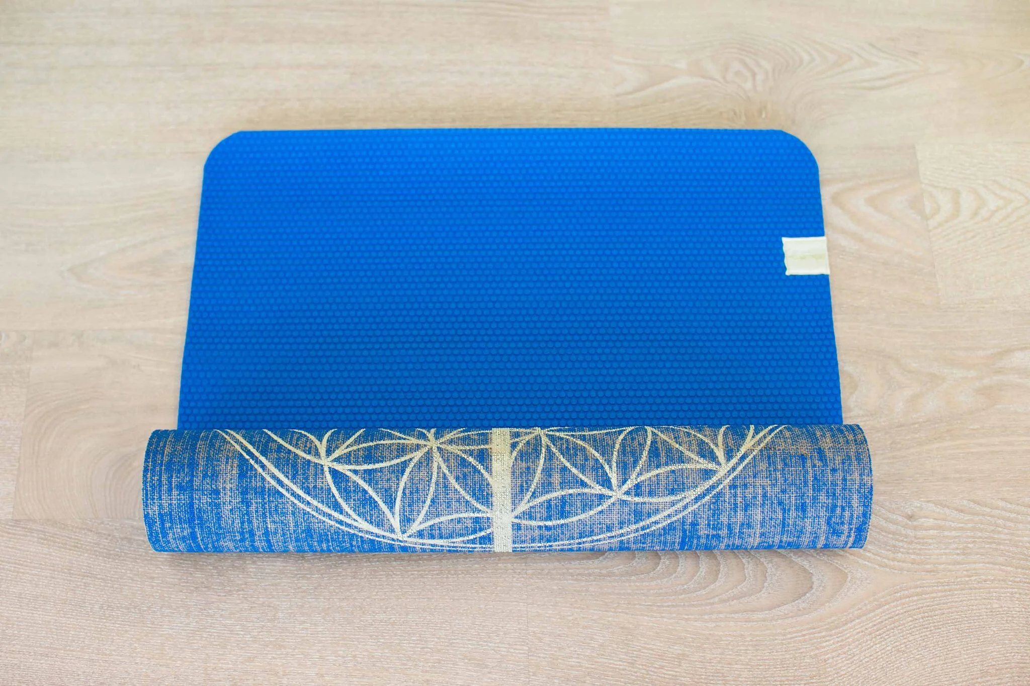 YogaTribe lowres marketing-3311_preview.jpg
