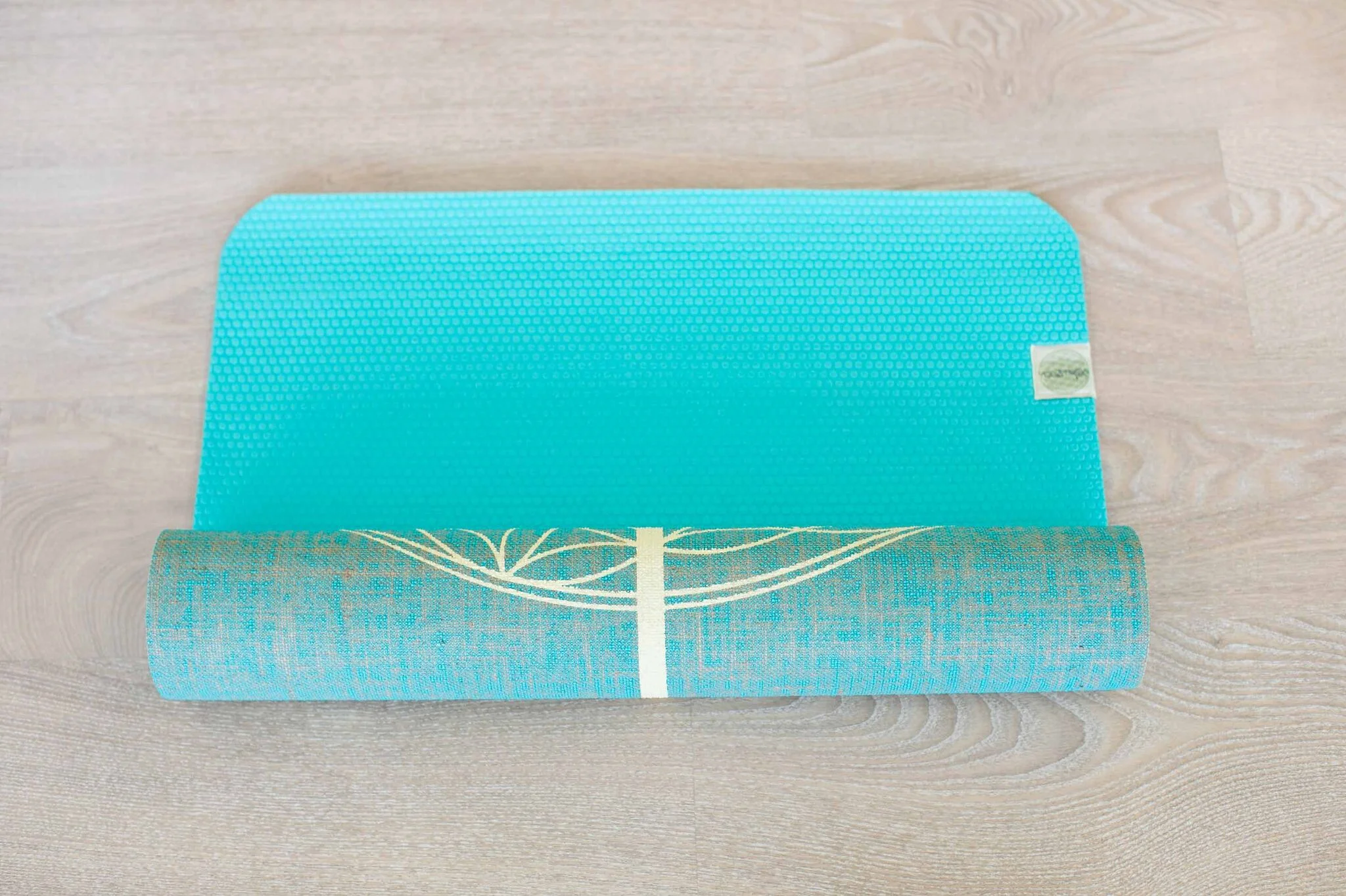 YogaTribe lowres marketing-3305_preview.jpg