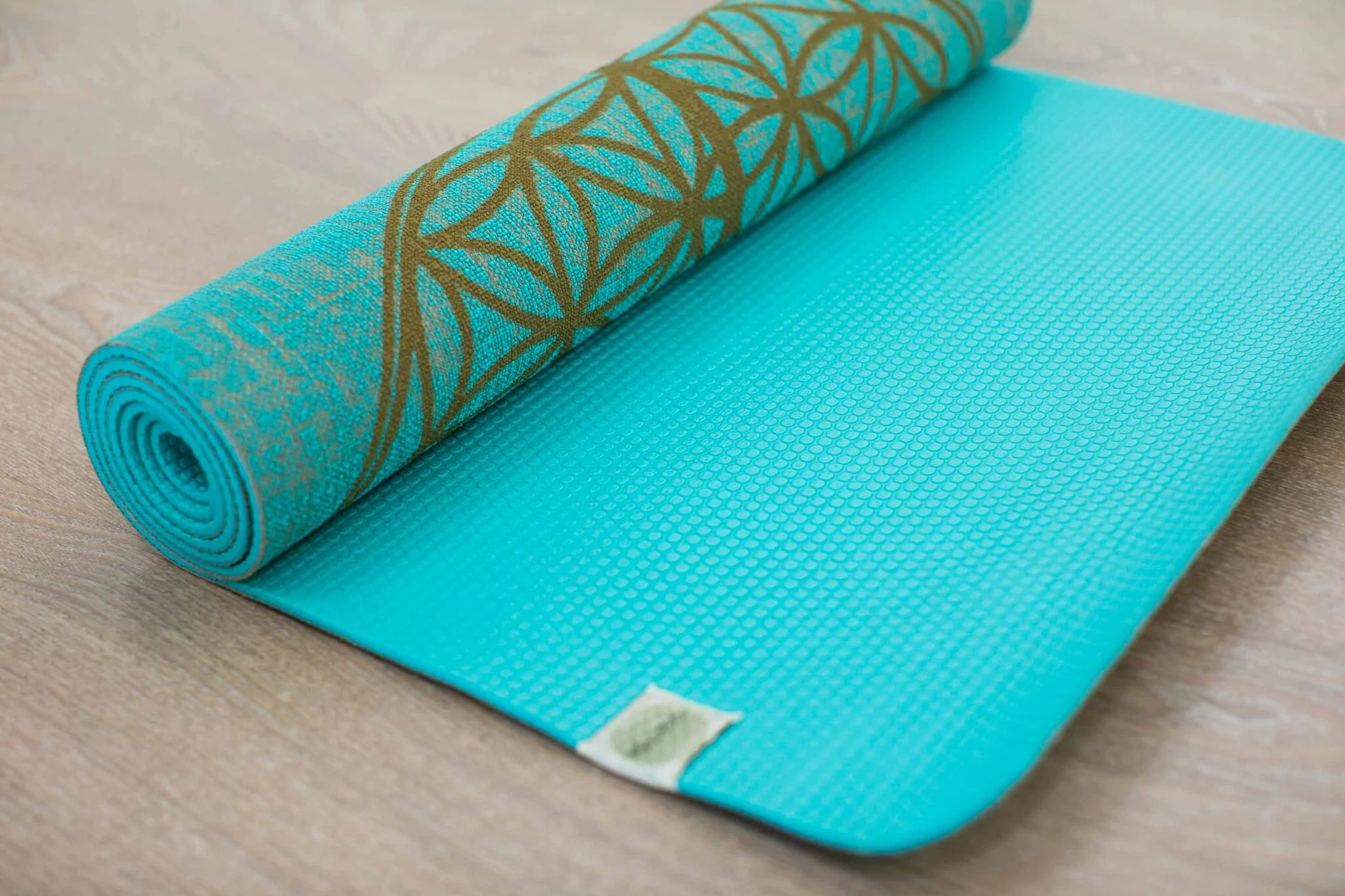 YogaTribe lowres marketing-3233_preview.jpg