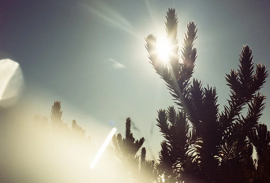 marcuspalmqvist_spaces52.webp