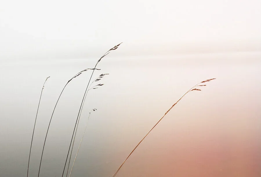 marcuspalmqvist_spaces55.webp