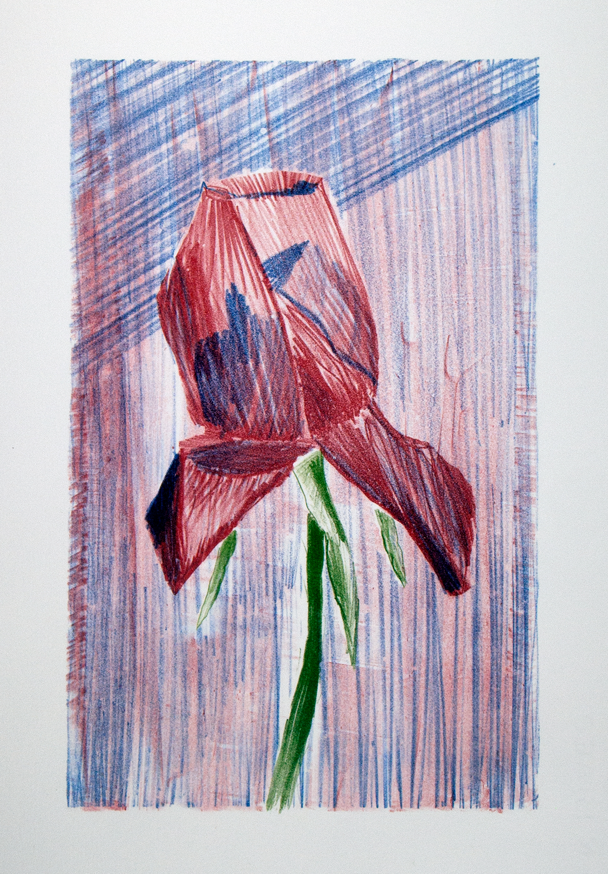 'Rose' from the portfolio 'Alle Dinghe' containing 6 lithographs