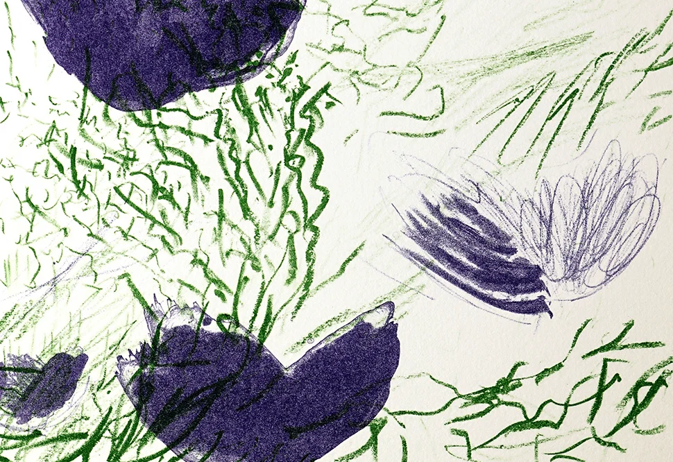 JORIS MARTENS_Alle Dinghe_rhodo2.jpg