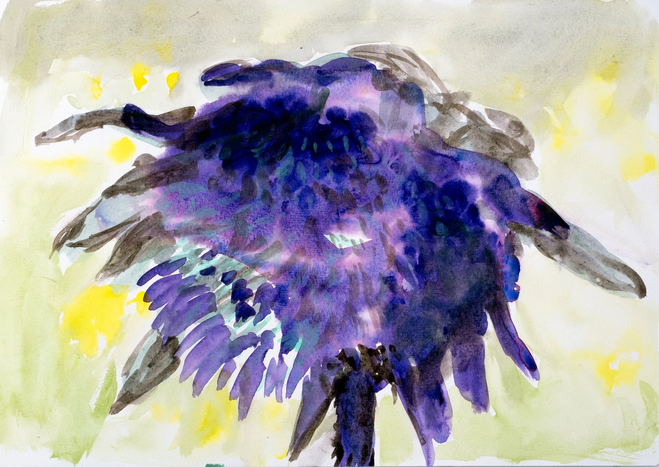 Transformation ( Sunflower )