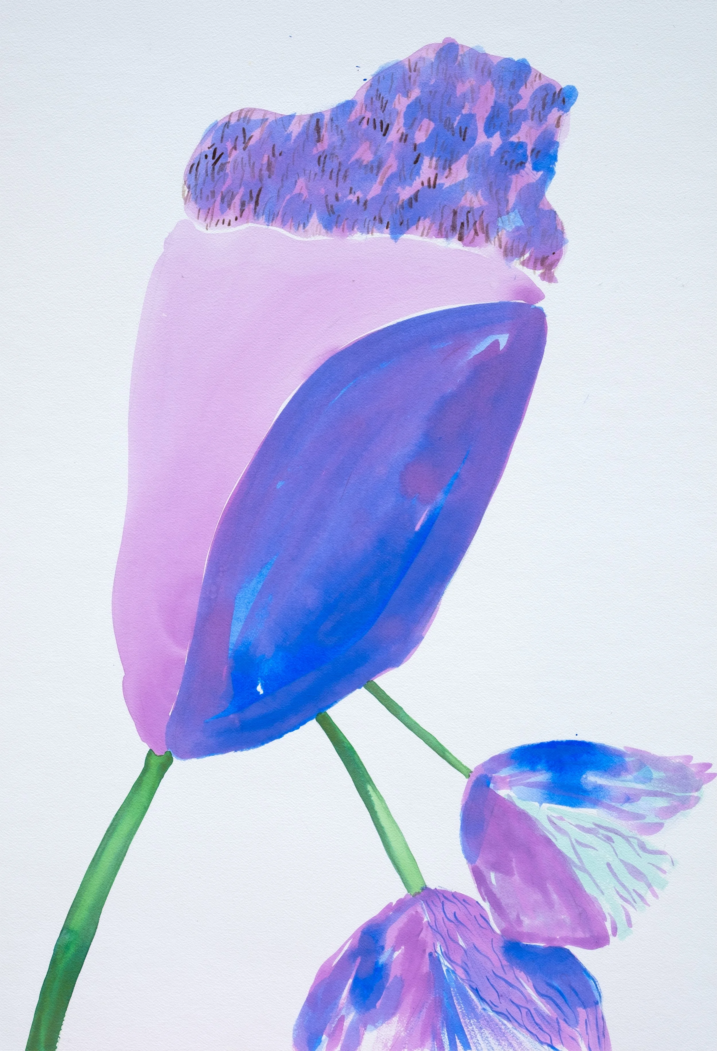 Untitled ( Flowers )