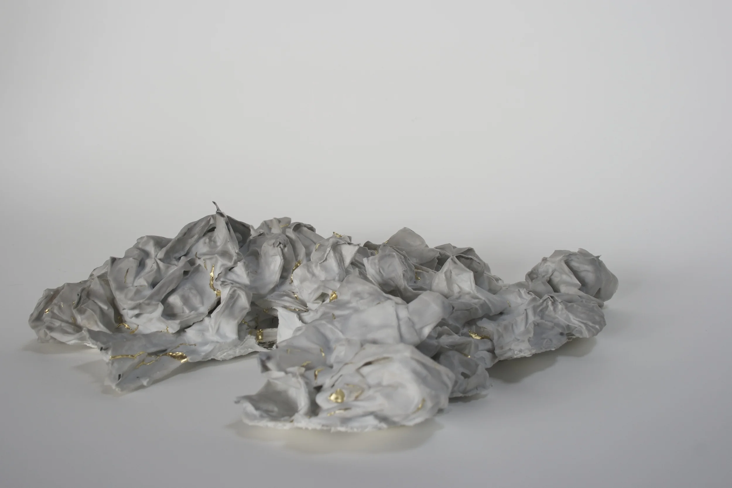 Waste Paper Series; Self Portrait in a List of Everything I Own