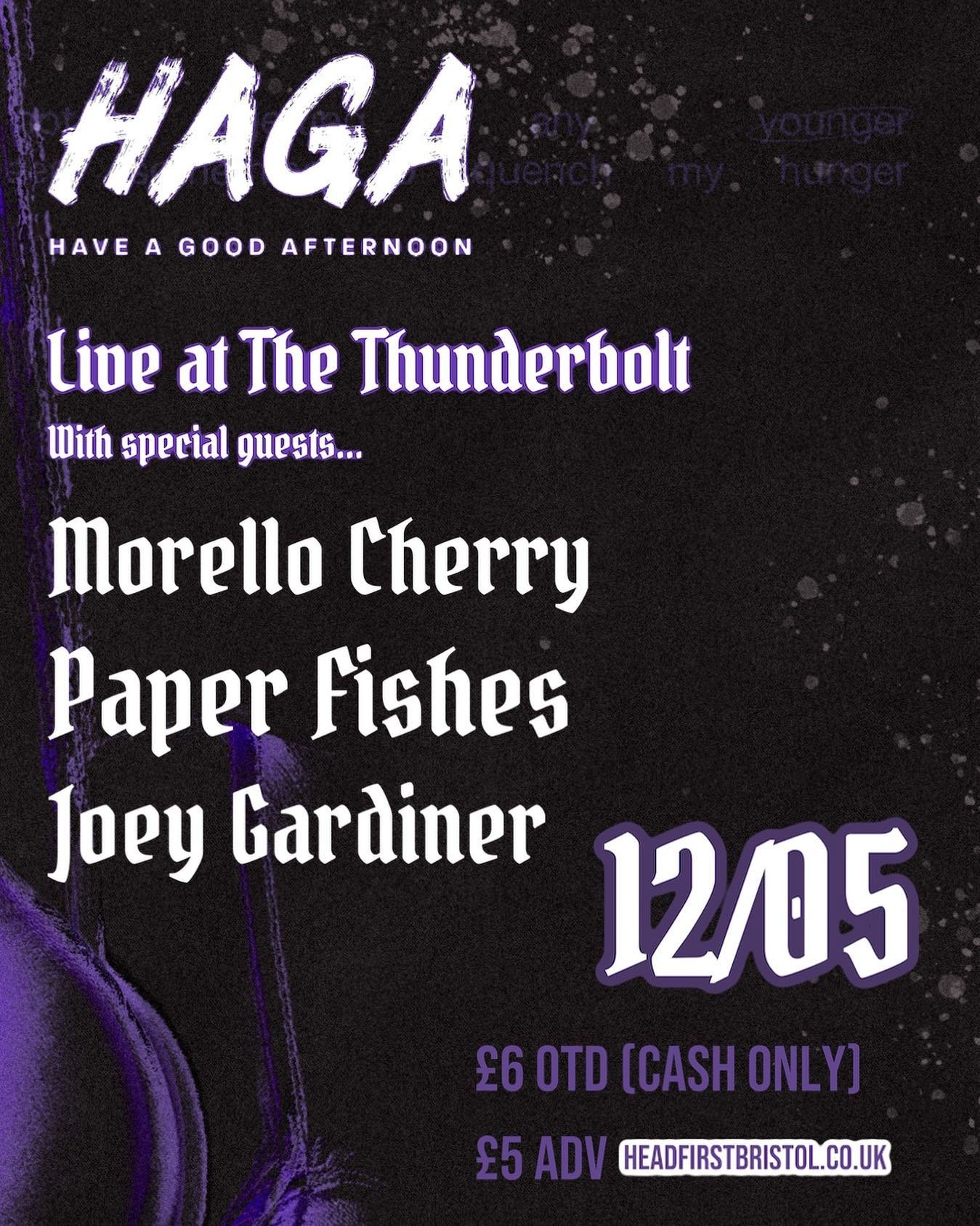 HAVE A GOOD AFTERNOON // Morello Cherry // Paper Fishes // Joey Gardiner