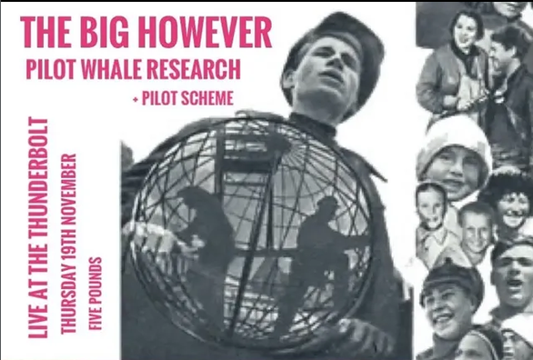 THE BIG HOWEVER + Pilot Whale Research + Pilot Scheme