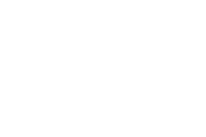 veganerutfordringen_logo_hvit.png