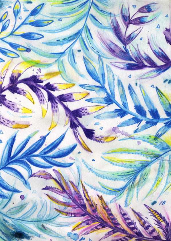 ferns.png