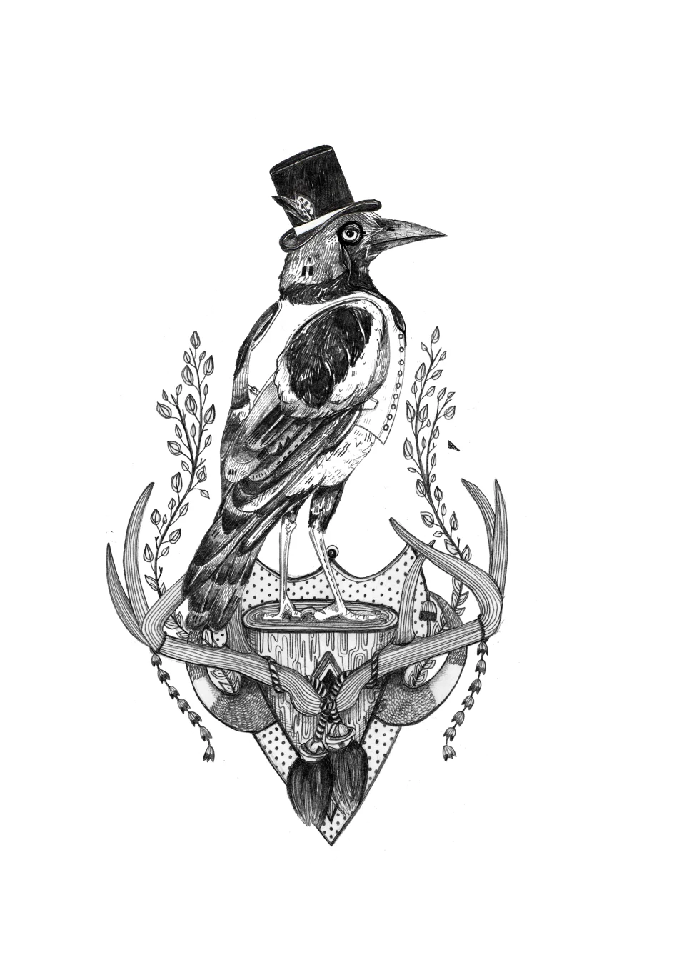 b391014919b2afdb-Magpie.jpg