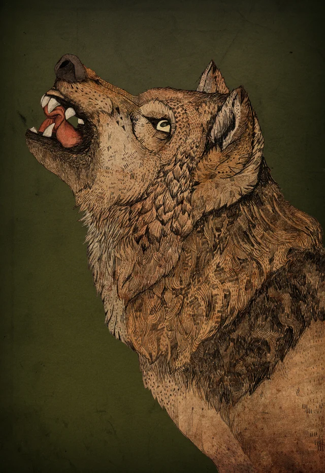 Snarl