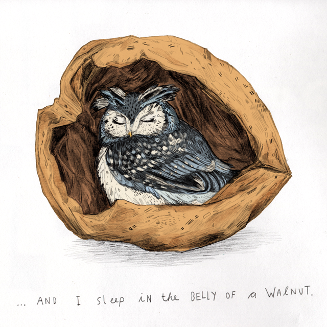Belly-of-a-walnut.png