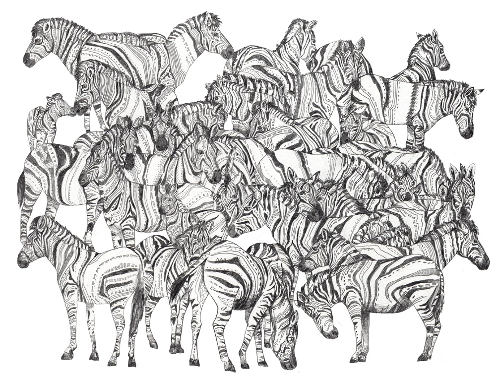 Zebras.jpg