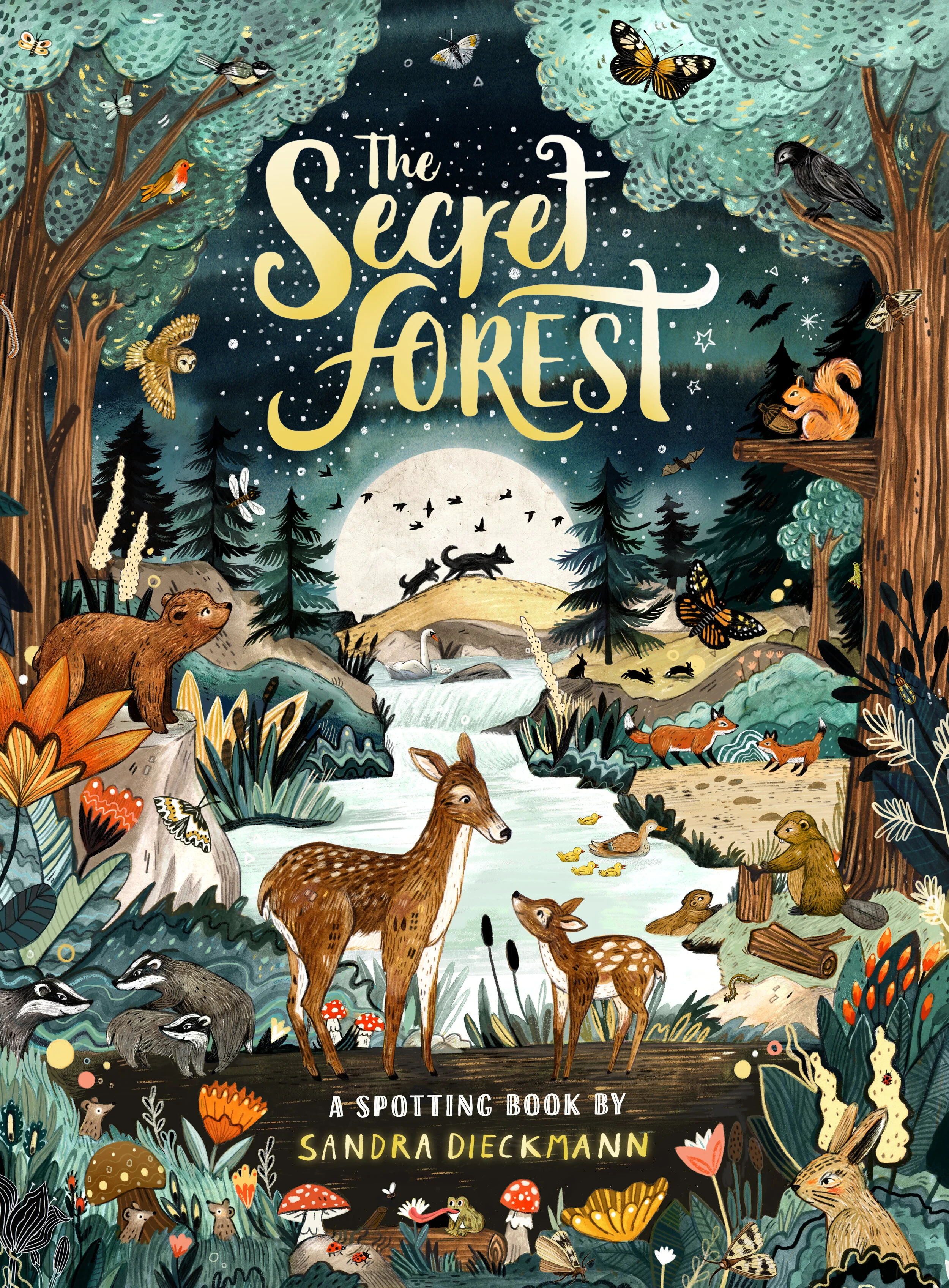 TheSecretForest_final front cover.JPEG