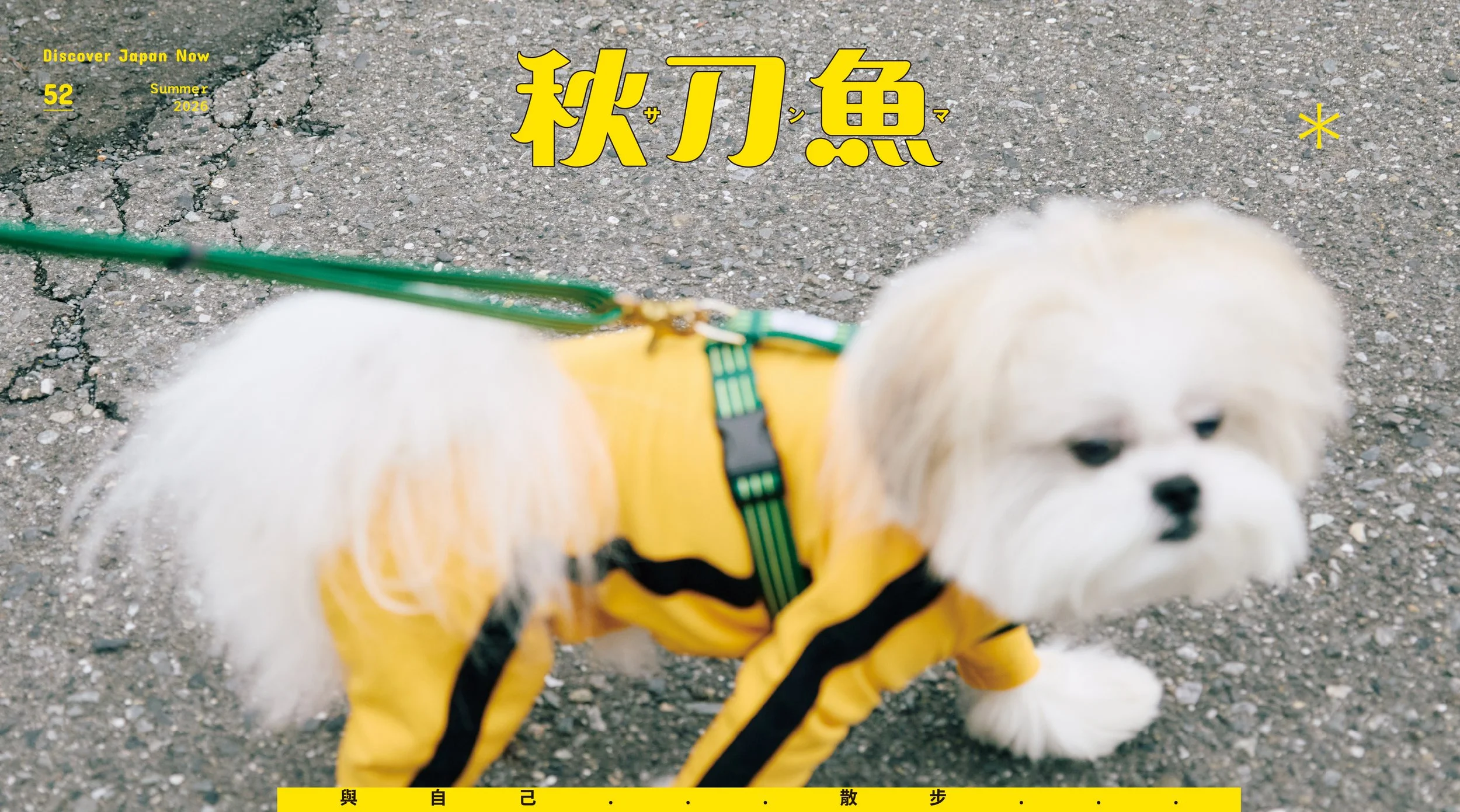 no.50 cover_官網.jpg