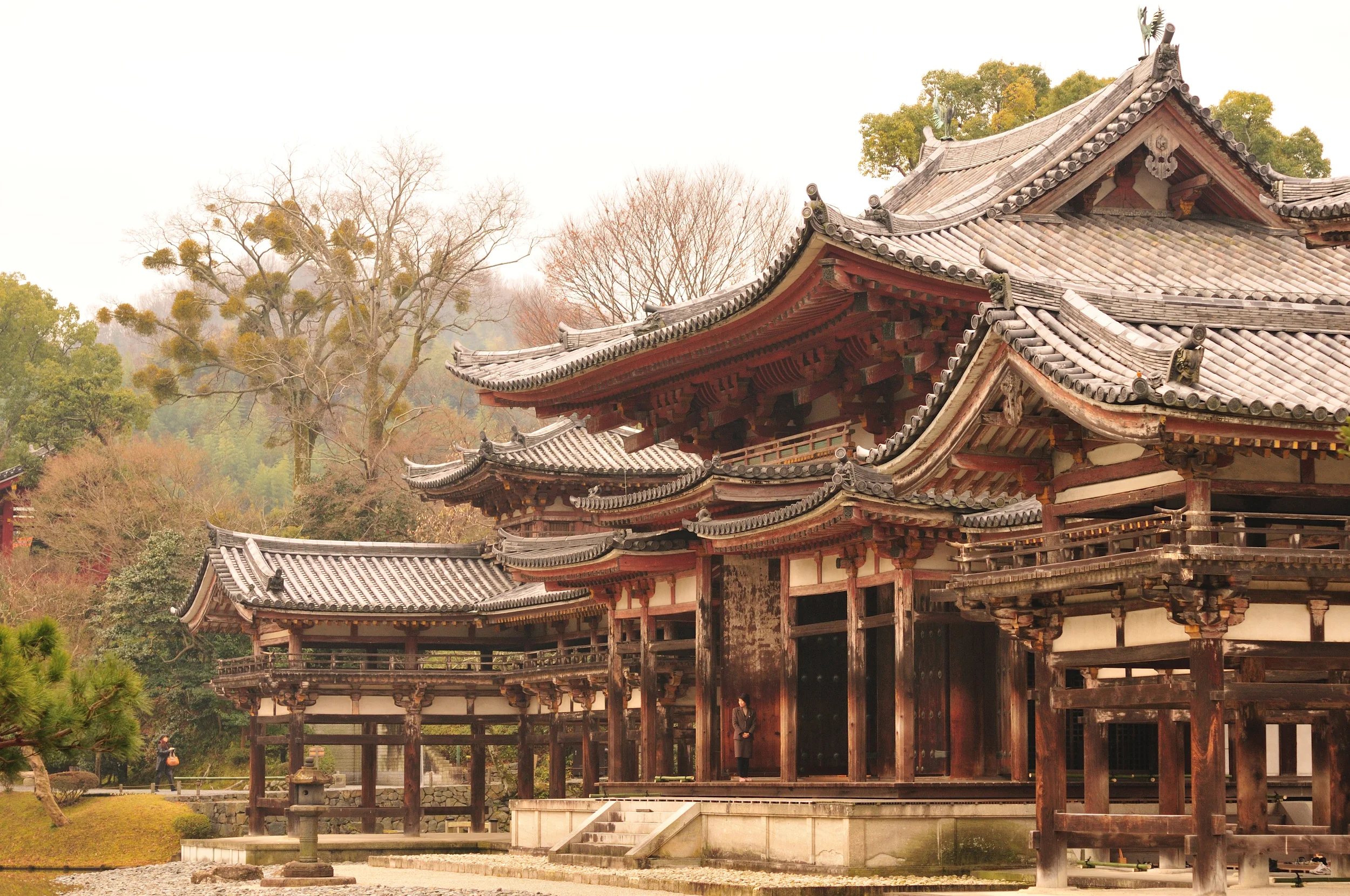 「平等院鳳凰堂」即將在10月修復完成