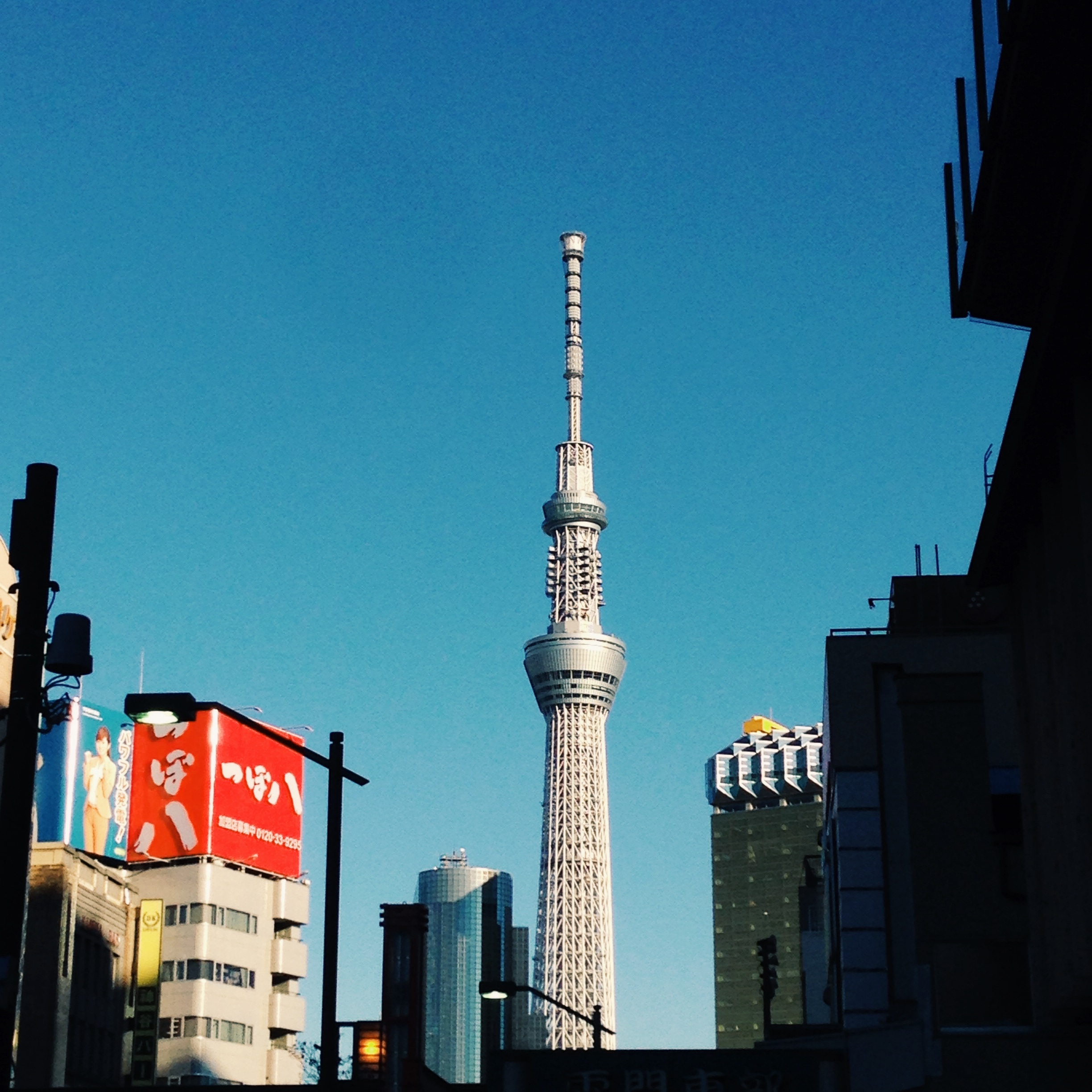 三位名人力挺《秋刀魚》創刊