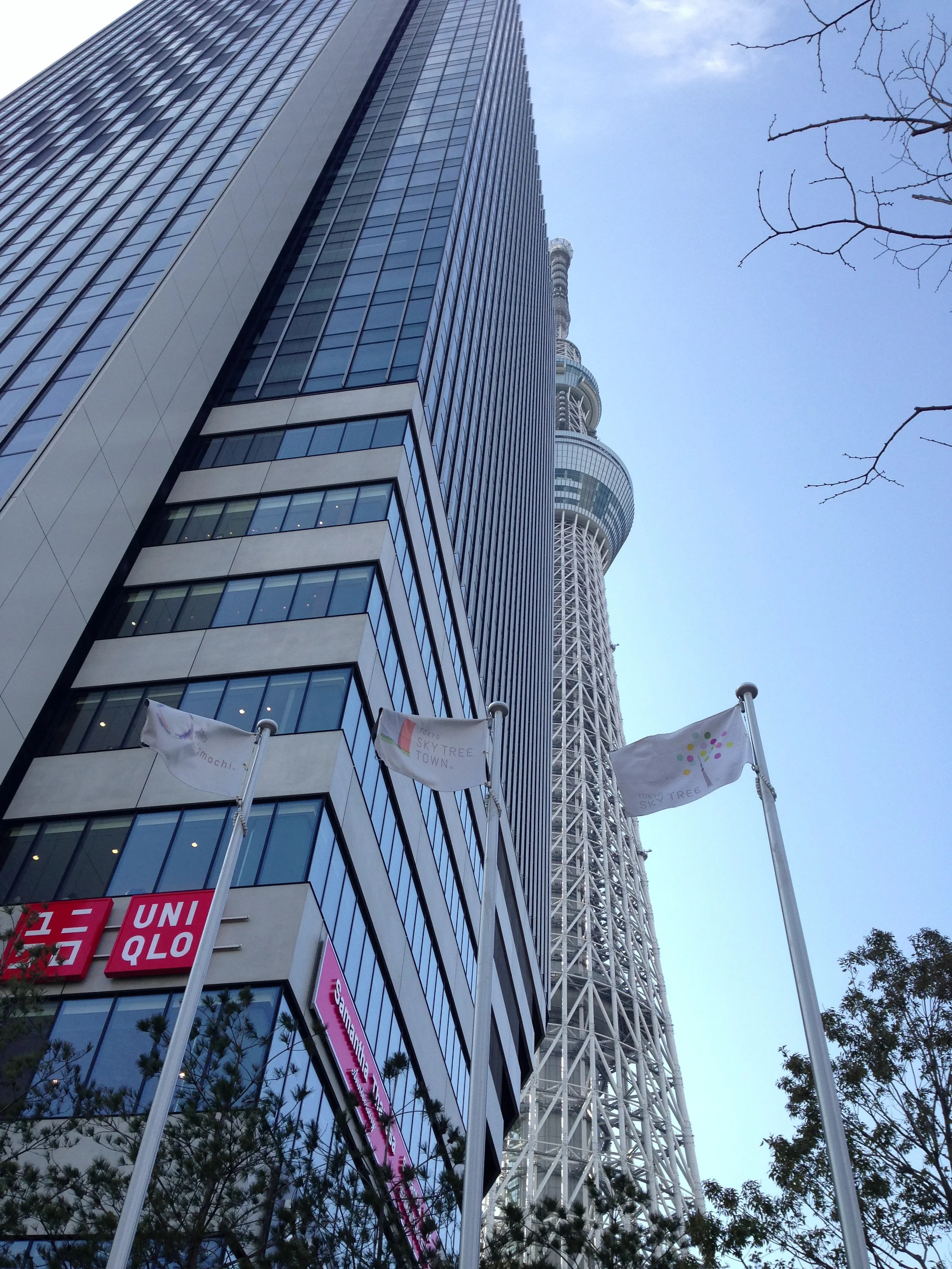 2013-02-04 10.17.53.jpg