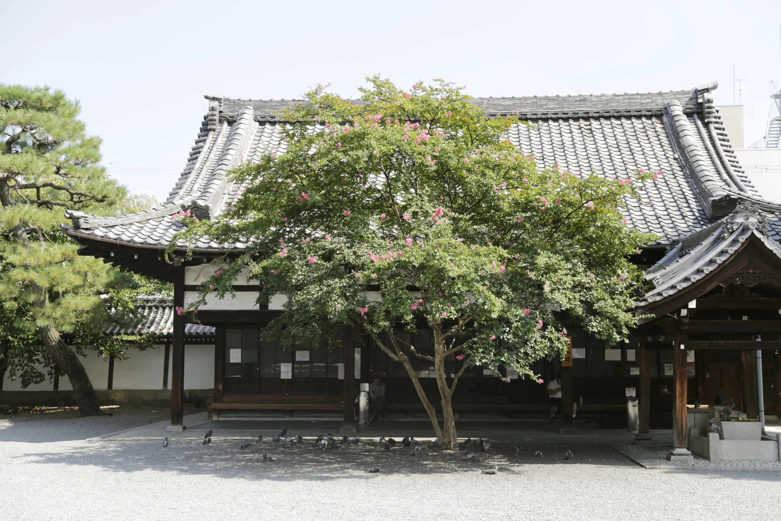 D&DEPARTMENT KYOTO 11月29日開幕！