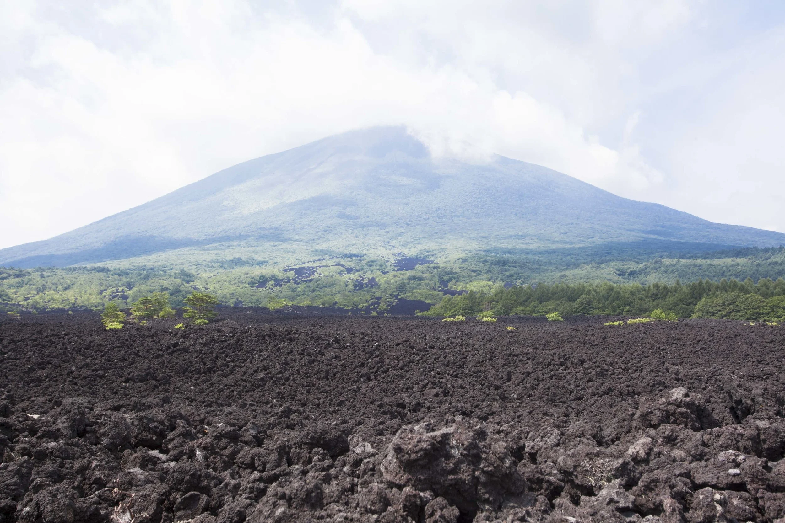 《秋刀魚》第5期特輯主題〈出發東北!時空之旅〉今日正式上架