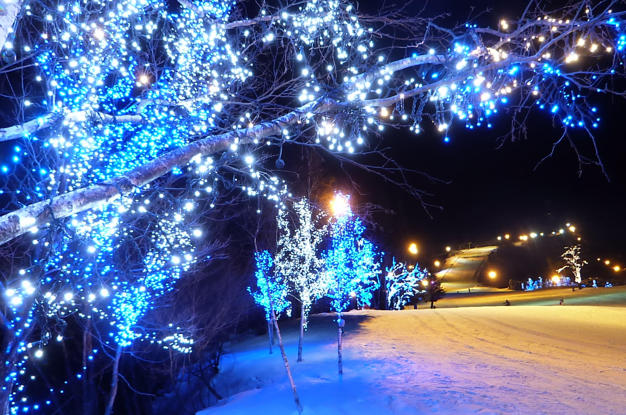 岐阜縣DYNALAND雪場夜間點燈