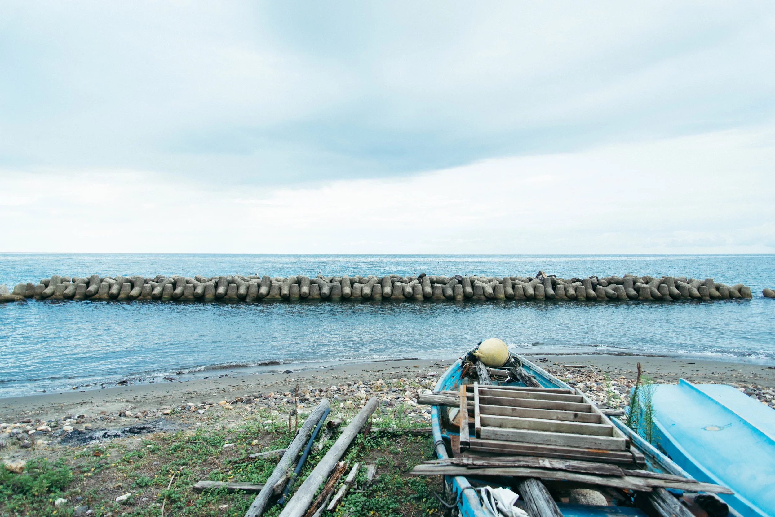 TYJ_0981.jpg