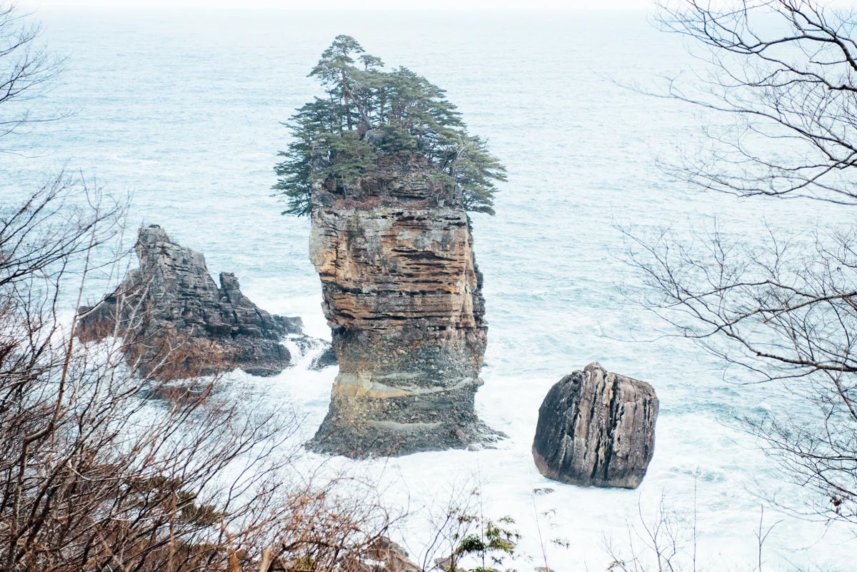 DSC_9408.jpg