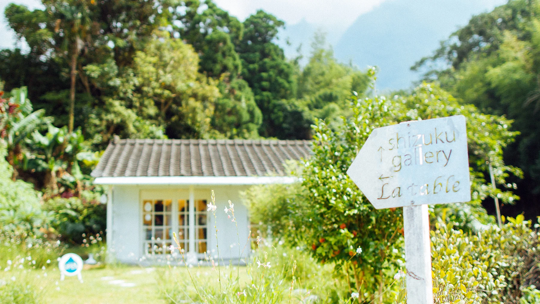 放慢旅行的腳步　發掘屋久島森林公路上的精彩小店
