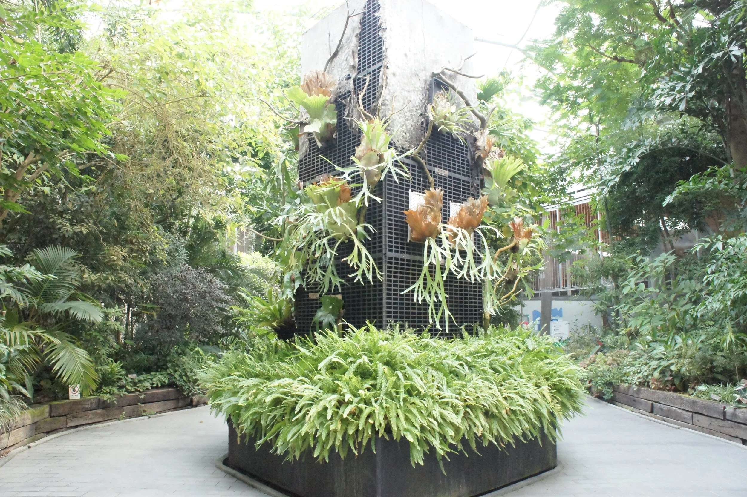 典藏植物園1.jpg