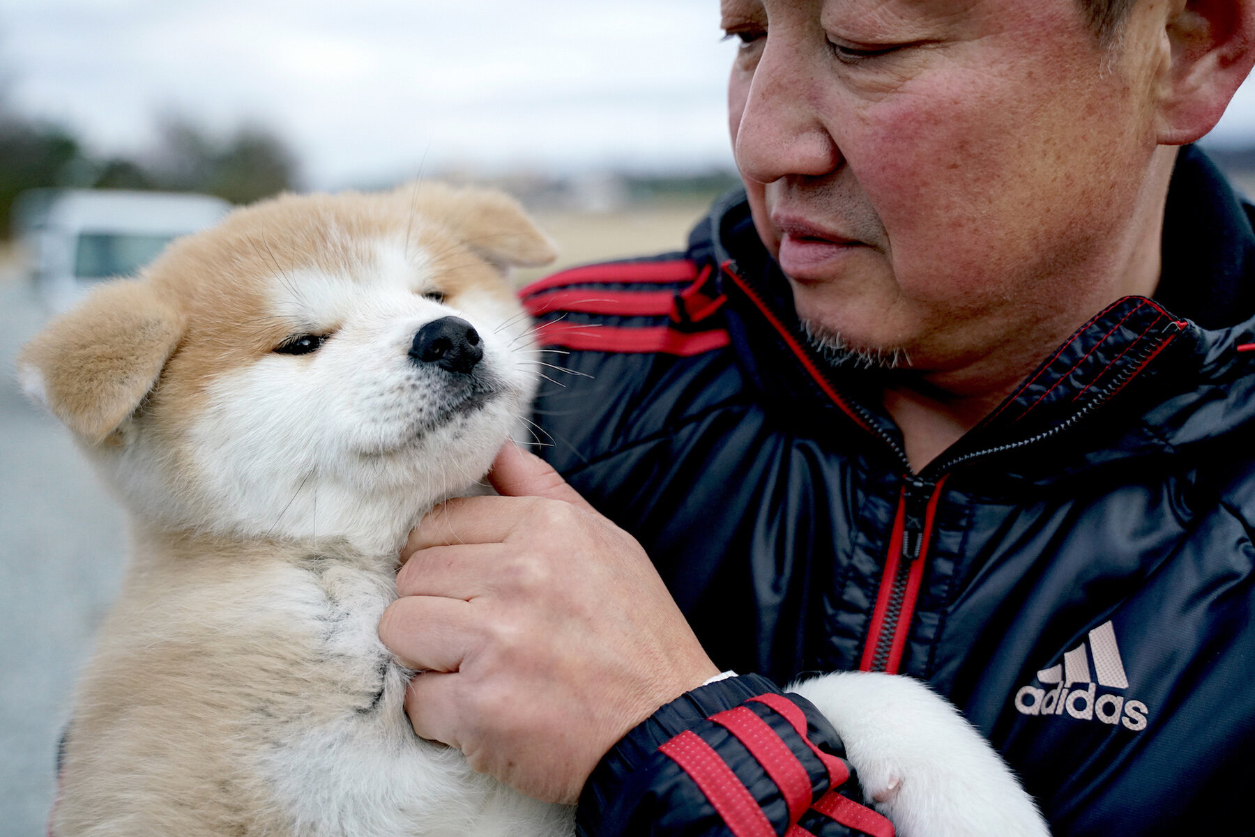 貼近北國的忠誠溫暖探訪秋田犬故鄉 秋刀魚サンマ