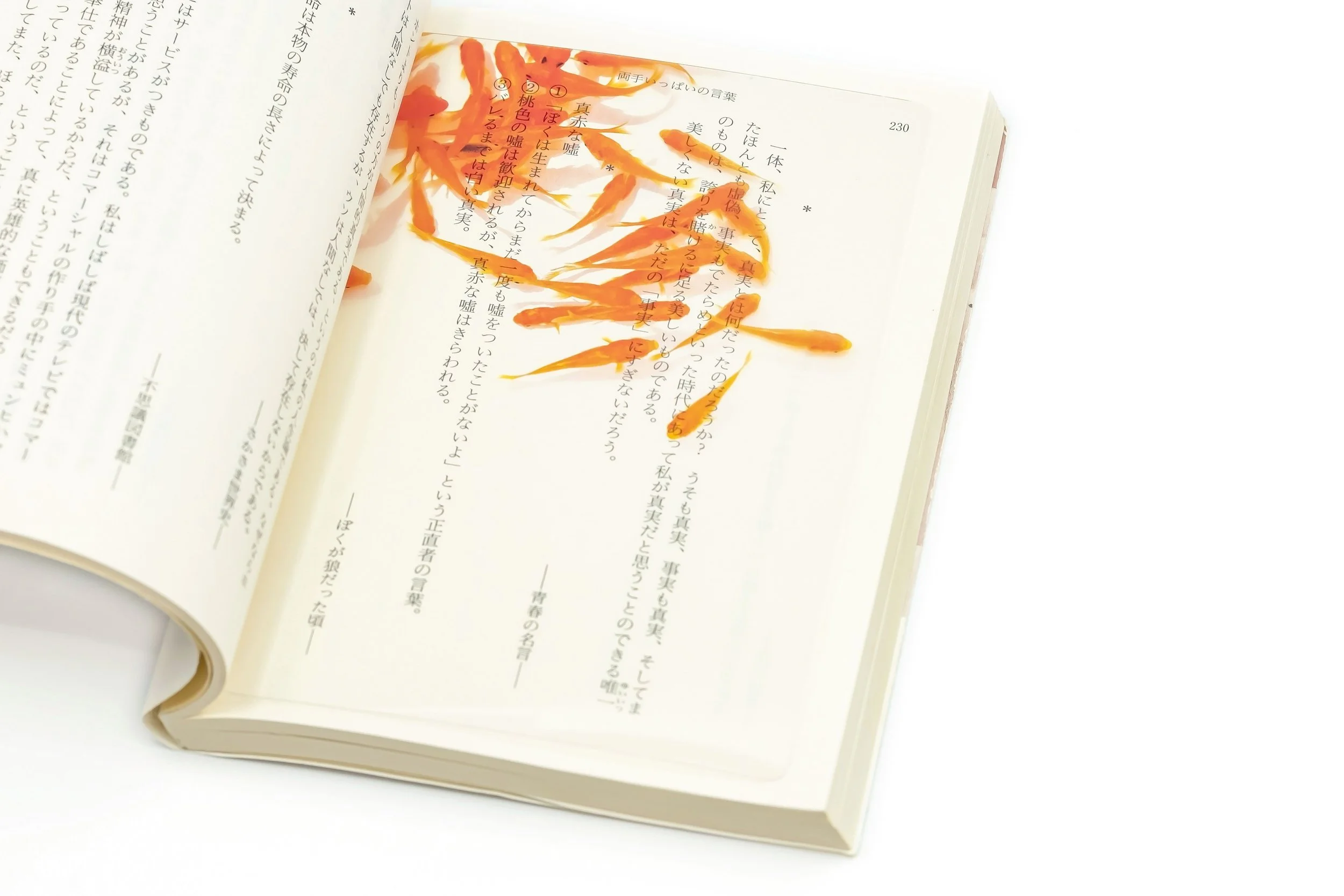 圖2. & focus.的透明書籤將金魚揉合進書籤設計中，閱讀時彷彿與金魚共游於文字之間 ｜ 誠品書店.jpg