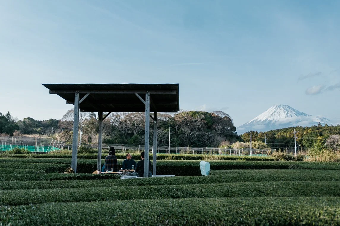 【秋刀魚報紙特輯】一杯茶の時光：編輯長茶旅觀察・靜岡篇