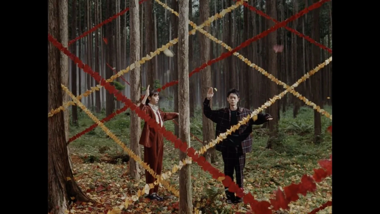 niko and..._2019_autumn_cm_03_Easy-Resize.com.jpg