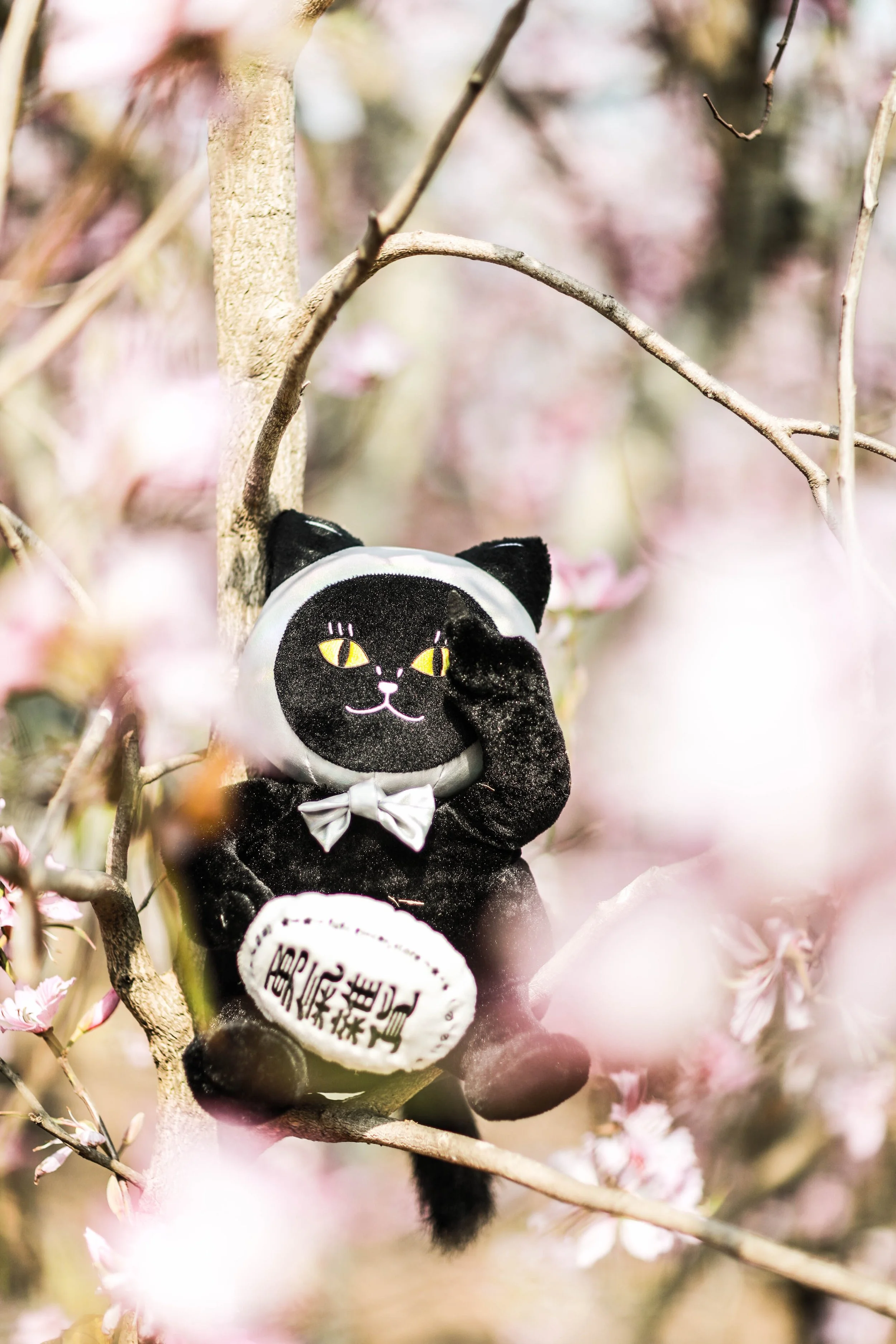 0P3A3601 - 超勇氣雜貨商行陳頌欣負責人.jpg